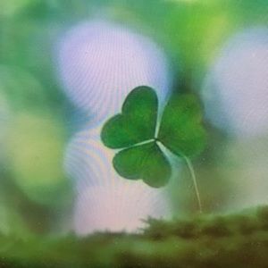 Meet your Posher, Marisol